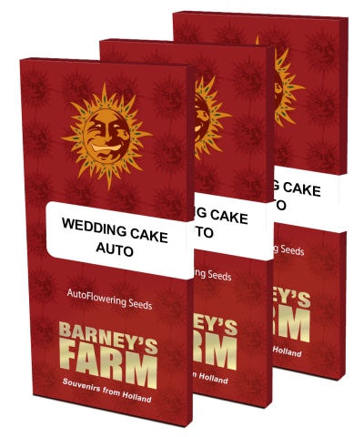 картинка Wedding Cake Auto от магазина Semki