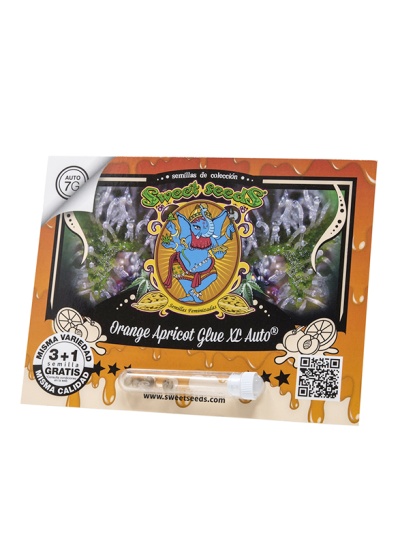 картинка Orange Apricot Glue XL Auto от магазина Semki