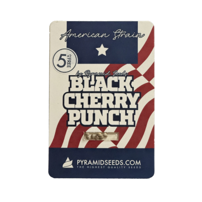 картинка Black Cherry Punch от магазина Semki