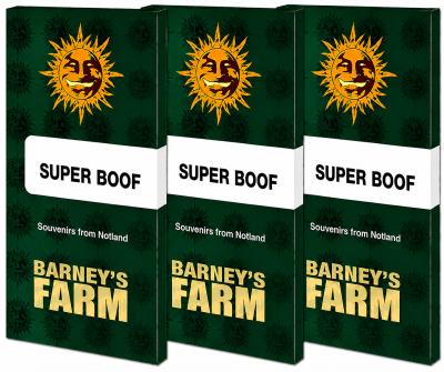 картинка Super Boof от магазина Semki