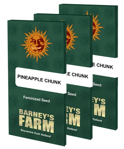картинка Pineapple Chunk от магазина Semki