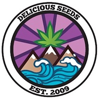 картинка Unknown Kush от магазина Semki