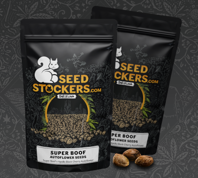 картинка Super Boof Auto от магазина Semki