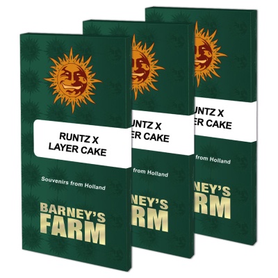 картинка Runtz x Layer Cake от магазина Semki
