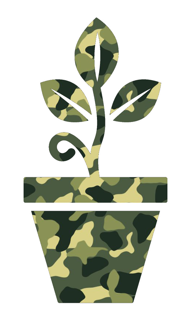 AK-47
