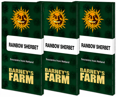 картинка Rainbow Sherbet от магазина Semki
