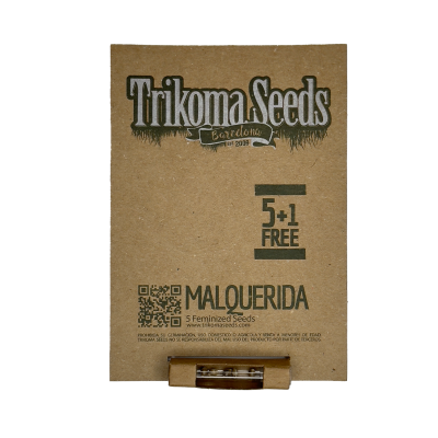 картинка Malquerida от магазина Semki