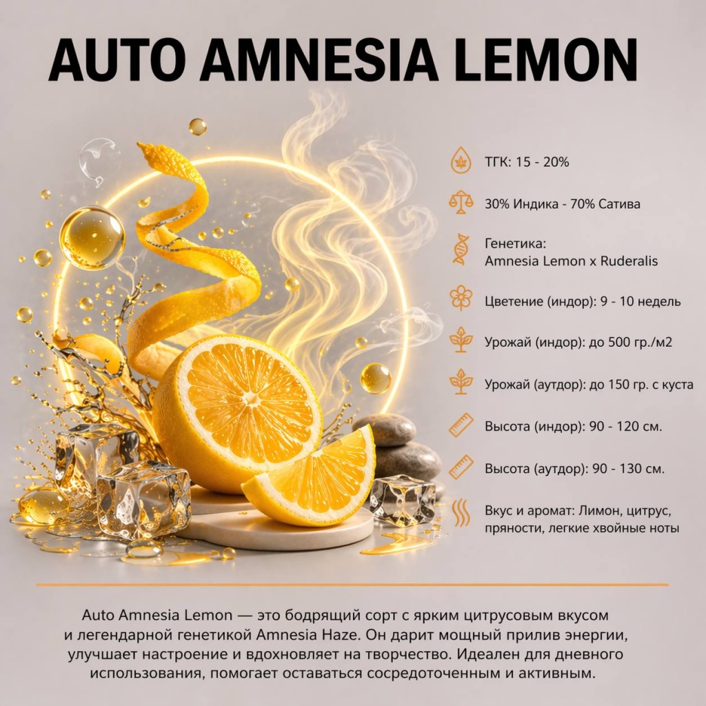 Auto Amnesia Lemon