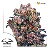 картинка Blueberry от магазина Semki
