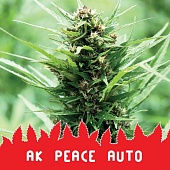 картинка AK Peace Auto от магазина Semki