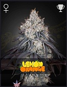картинка Lemon Orange от магазина Semki