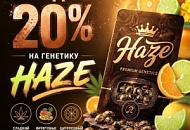 -20% НА ВСЮ ГЕНЕТИКУ HAZE! от магазина Semki