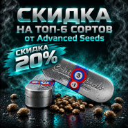 ТОП-6 СОРТОВ ОТ ADVANCED SEEDS СО СКИДКОЙ 20% от магазина Semki