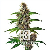 картинка Fat Bastard Auto от магазина Semki