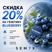 –20% НА ВСЮ ПОДБОРКУ BLUEBERRY! от магазина Semki